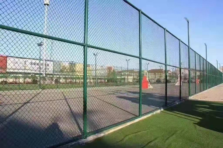 W(wng)_.jpg